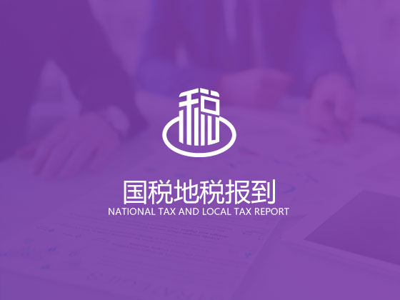 成都公司納稅